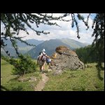 Bucher09.jpg