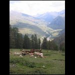 Bucher10.jpg